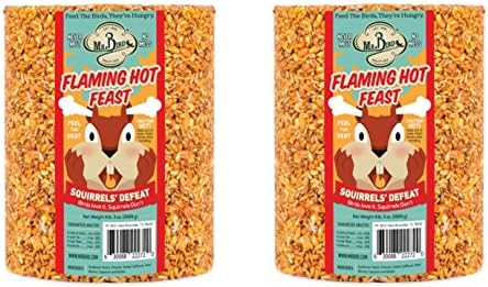 2-Pack of Mr. Bird Flaming Hot Feast Large Wild Bird Seed Cylinder 4 lbs. 3 oz.