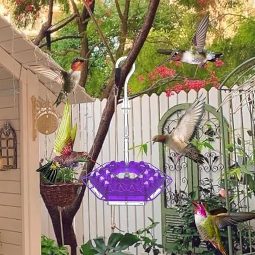 Ant & Bee-Proof Hummingbird Feeder with 30 Feeding Ports - 11oz Easy-Clean Outdoor Hanging Feeder, Includes Perch & Cleaning Brush for Window and Backyard Decoration (1, Purple)