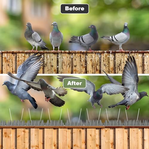20 Pack Bird Spikes Deterrent - 20ft Pigeon Deterrent for Balcony. 3200 Spikes to Keep Birds Away. Bird Spikes for Outside to Keep Birds Away & Deter Barn Swallows from Nesting, Squirrel Deterrent