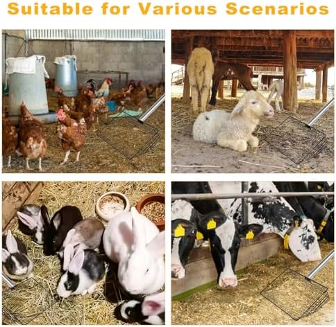 10 Inch Large Chicken Poop Scooper, 5 in 1 Chicken Coop Scoop with 22" to 67" Adjustable Stainless Steel Handle, Litter Sifting Shovel for Chicken Coop, Farm, Sheep Pen, Cat Litter, Stable Cleaning