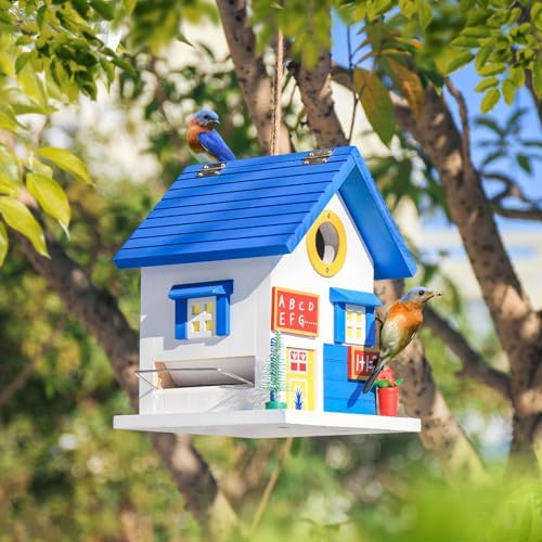 2IN1 Bluebird House+Bird Feeder - Bird House Clearance for Outside - Stainless Steel Perch Hinges - Removable Protector - Bluebirds, Sparrows, Chickadees Bird House for Outside on Pole Post