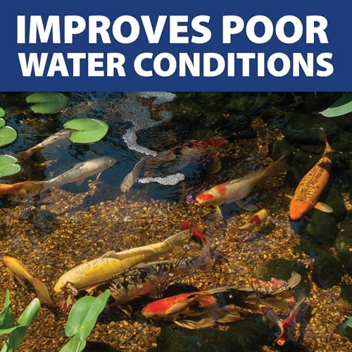 The Pond Guy InstaFix Algae Control, Outdoor Water Garden, Fountain & Birdbath Algae Solution, EPA Registered Liquid Algaecide, Control Green Water & String Algae, Bird, Fish & Pet Safe, 32 Ounces