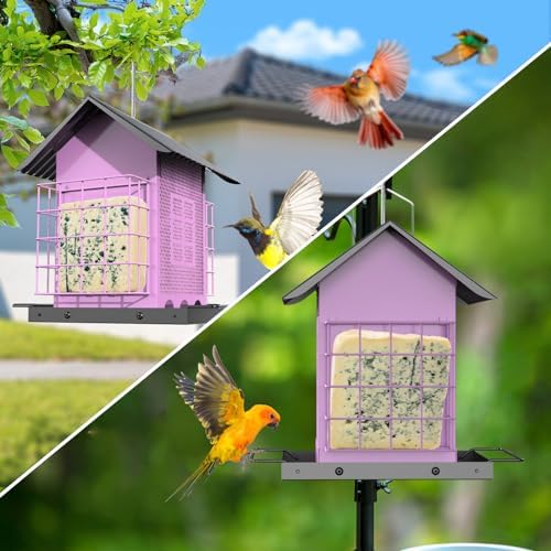 Bird Feeders for Outdoors Hanging, Metal Bird Feeder with Double Suet Cage Cake, Large Capacity, Birdfeeders Sturdy & Weatherproof, Easy to Clean & Refill, Great for Attracting Wild Birds