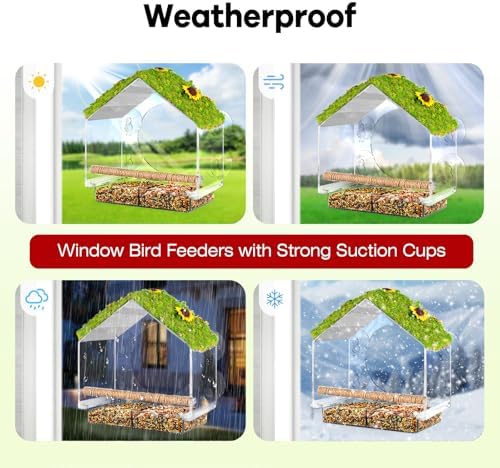 Clear Window Bird Feeder with 4 Strong Suction Cups & Decorative Lawn Top - Ideal for Garden/Yard Decor, Elderly & Kids Bird Watching, Unique Gift for Nature Lovers