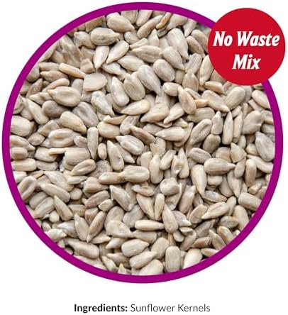 Lyric Sunflower Kernels Wild Bird Seed No Waste Bird Food - Attracts Finches & More - 10 lb. (Pack of 2-5 lb. Bags)