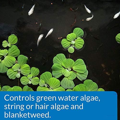 API POND ALGAEFIX Algae Control 64-Ounce Bottle (FF-169D)