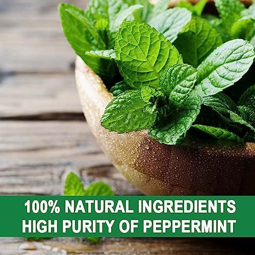 Squirrel Repellent Outdoor, Chipmunk Repellent, Squirrel Repallent for Garden & Yard, Attic Squirrels Deterrent, Keep Chipmunk Away, Get Rid of Squirrels for Tree, Bird Feeders, Plant-12P