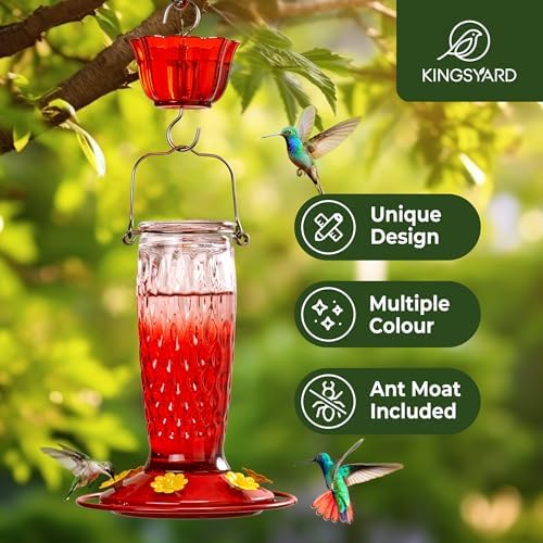 Kingsyard 2 Pack Glass Hummingbird Feeders for Outdoors Hanging, Wild Bird Nectar Feeder with 6 Feeding Ports, 24 oz Leak-Proof, Red Gradient (Ant Moat Included)