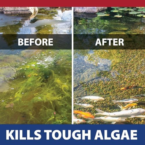 The Pond Guy InstaFix Algae Control, Outdoor Water Garden, Fountain & Birdbath Algae Solution, EPA Registered Liquid Algaecide, Control Green Water & String Algae, Bird, Fish & Pet Safe, 32 Ounces