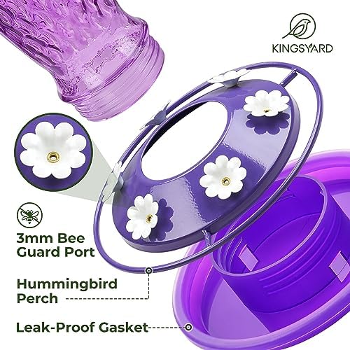 Kingsyard 2 Pack Glass Hummingbird Feeders for Outdoors Hanging, Wild Bird Nectar Feeder with 6 Feeding Ports, 24 oz Leak-Proof, Pink & Purple (Ant Moat Included)
