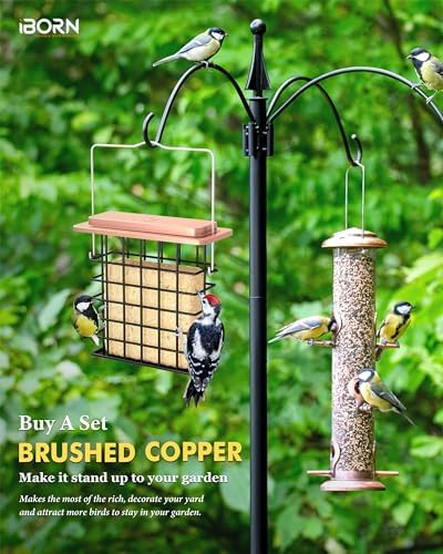 iBorn Suet Feeder Suet Bird Feeders [Single Capacity] for Outside Hanging with Taller Grid for Woodpecker,Metal Brushed Copper（Pack of 2）
