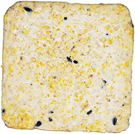Suet Cake 12 Pack | Case of 12 Suet Cakes for Wild Birds (Woodpecker/Berry/High Energy/Peanut)