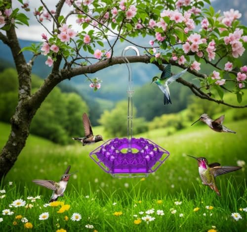 Ant & Bee-Proof Hummingbird Feeder with 30 Feeding Ports - 11oz Easy-Clean Outdoor Hanging Feeder, Includes Perch & Cleaning Brush for Window and Backyard Decoration (1, Purple)