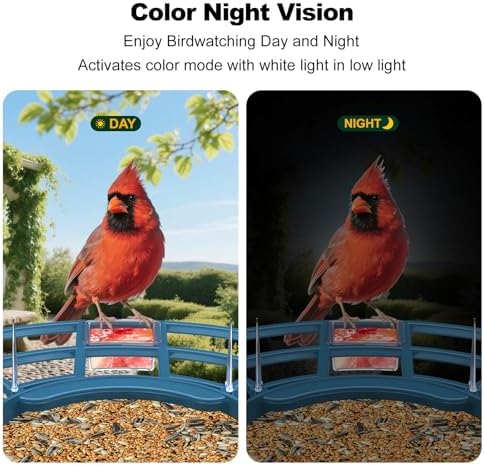 Bird Feeder with Camera,FHD Live View Video,Smart WiFi Bird Feeder Camera with Solar Panel,AI Birds Identification,IP65 Waterproof Birds House with Cam,Instant Arrival Alerts,Ideal Gift for Fathers