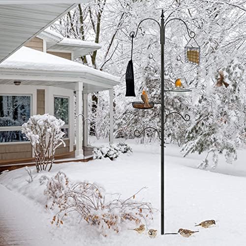 Premium Bird Feeding Station Kit - Multi Feeder Hanging Set with Suet Cage, Bird Bath & Finch Sock Attractors