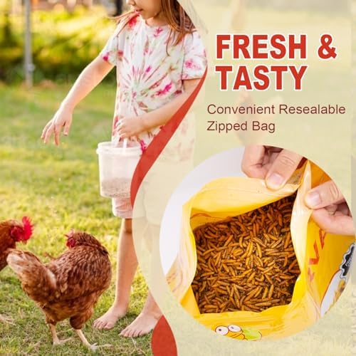 10LB Dried Black Solider Fly Larvae, BSFL is High Protein Chicken Feed with 85x More Calcium Than Dried Mealworms, Poultry Treats, Chickens Love, Birds Love, Hens Love, Ducks Love