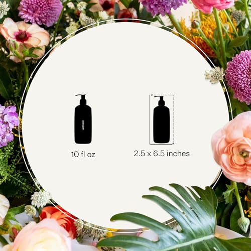 APOTHEKE Liquid Hand Soap, Canvas (10 Fl Oz) - Hydrating Hand Wash with Natural Coconut & Aloe Vera