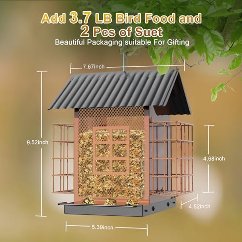 Bird Feeders for Outdoors Hanging, Metal Bird Feeder with Double Suet Cage Cake, Large Capacity, Birdfeeders Sturdy & Weatherproof, Easy to Clean & Refill, Great for Attracting Wild Birds
