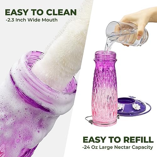 Kingsyard 2 Pack Glass Hummingbird Feeders for Outdoors Hanging, Wild Bird Nectar Feeder with 6 Feeding Ports, 24 oz Leak-Proof, Pink & Purple (Ant Moat Included)