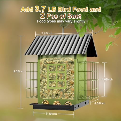 Bird Feeders for Outdoors Hanging, Metal Bird Feeder with Double Suet Cage Cake, Large Capacity, Birdfeeders Sturdy & Weatherproof, Easy to Clean & Refill, Great for Attracting Wild Birds