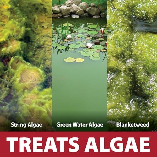 The Pond Guy InstaFix Algae Control, Outdoor Water Garden, Fountain & Birdbath Algae Solution, EPA Registered Liquid Algaecide, Control Green Water & String Algae, Bird, Fish & Pet Safe, 32 Ounces