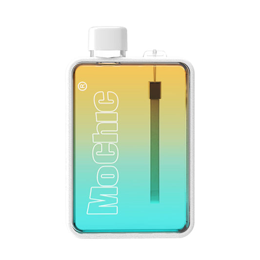 MoChic Flat Water Bottle Leak Proof and Slim Water Bottle Design BPA Free A5 Water Bottle Unique frosted and color designs Sports Gym Outdoor Travel 13oz