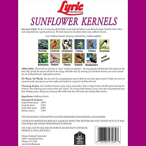 Lyric Sunflower Kernels Wild Bird Seed No Waste Bird Food - Attracts Finches & More - 10 lb. (Pack of 2-5 lb. Bags)