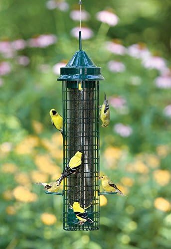 Squirrel Buster Finch Squirrel-proof Bird Feeder w/4 Metal Perches & 8 Feeding Ports, 2.4-pound Thistle/Nyjer Seed Capacity