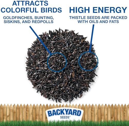 Backyard Seeds Thistle Bird Seed for Finches 50 Pounds