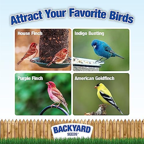 Backyard Seeds Thistle Bird Seed for Finches 50 Pounds