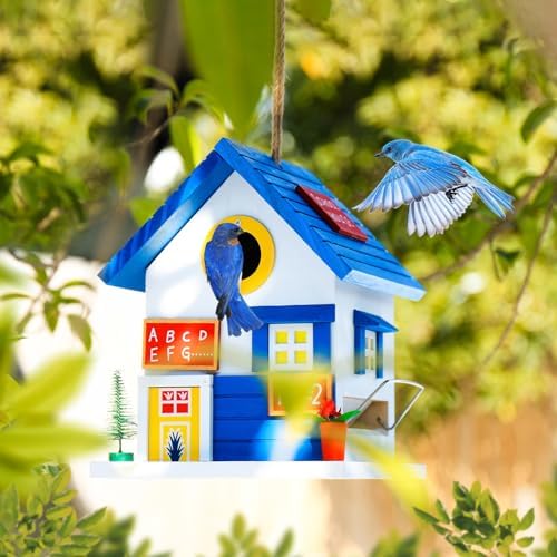 2IN1 Bluebird House+Bird Feeder - Bird House Clearance for Outside - Stainless Steel Perch Hinges - Removable Protector - Bluebirds, Sparrows, Chickadees Bird House for Outside on Pole Post