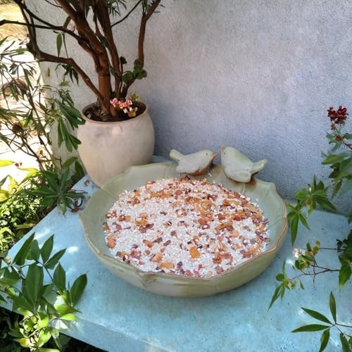 Ceramic Bird Bath for Outside on Ground, 9.45-Inch Birds Bath Bowl Only, Ground Bird Feeders and birdbath for Outdoors, Garden, Tabletop, Deck, Balcony and Lawn