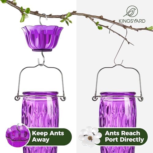 Kingsyard 2 Pack Glass Hummingbird Feeders for Outdoors Hanging, Wild Bird Nectar Feeder with 6 Feeding Ports, 24 oz Leak-Proof, Purple (Ant Moat Included)