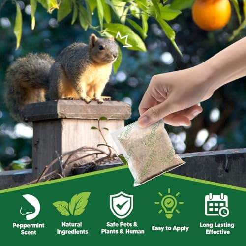 Squirrel Repellent Outdoor, Chipmunk Repellent, Squirrels Repellant for Garden, Chipmunk Deterrent for Attic, Keep Squirrel Out of Cars for, Repellants Squirrels for Plant & Bird Feeder-8P