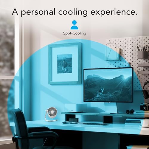 Vornado Pivot Personal Air Circulator, Portable, Desk Fan, Electric, Ice White