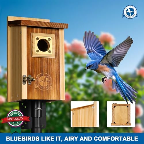 Pack of 2 Bluebird Houses for Outside, Premium Wooden Bird Houses for Outdoor, Weatherproof Blue Bird House, Bluebird Swallow Chickadee Wren, Assembly Required