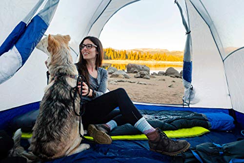 ALPS Mountaineering Lynx 3-Person Tent/Camping Tent, Easy Setup Durable, Weather-Resistant Design, Spacious & Ventilated/Lightweight with Gear Storage