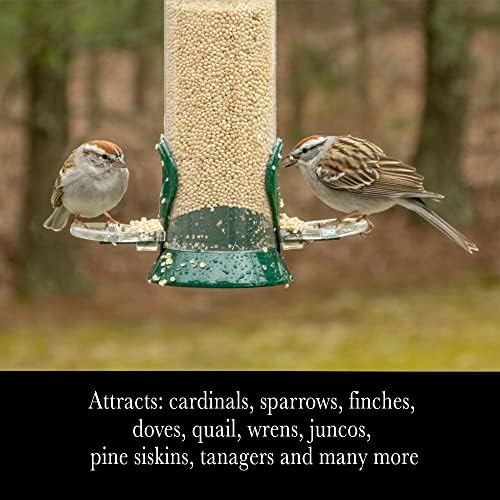 Desert Valley White Millet Seed, All Natural, Non-GMO Premium Wild Bird Food for Cardinals, Finch, Song Birds, Buntings and More (10 Pounds)