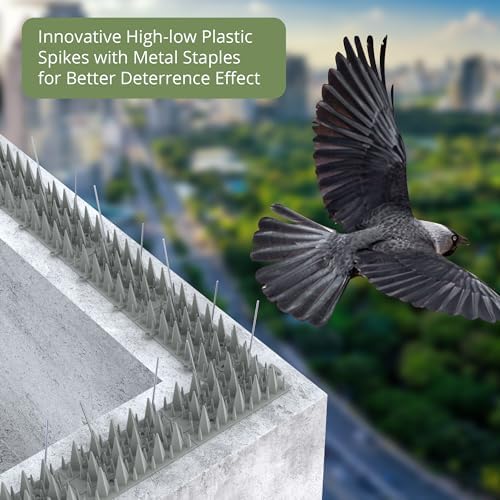 20 Pack Bird Spikes Deterrent - 20ft Pigeon Deterrent for Balcony. 3200 Spikes to Keep Birds Away. Bird Spikes for Outside to Keep Birds Away & Deter Barn Swallows from Nesting, Squirrel Deterrent