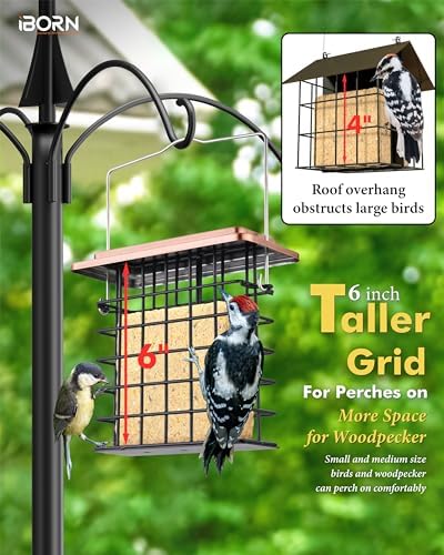 iBorn Suet Feeder Suet Bird Feeders [Single Capacity] for Outside Hanging with Taller Grid for Woodpecker,Metal Brushed Copper（Pack of 2）