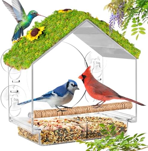 Clear Window Bird Feeder with 4 Strong Suction Cups & Decorative Lawn Top - Ideal for Garden/Yard Decor, Elderly & Kids Bird Watching, Unique Gift for Nature Lovers