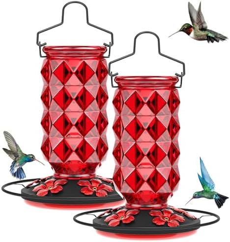 2 Pack Glass Hummingbird Feeders for Outdoors, 25 Ounces Wild Bird Nectar Feeder with Perch & 5 Flower Feeding Ports Leak Proof Hanging for Garden Backyard Decor, Gifts for Women Mom, Red