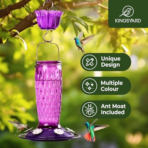 Kingsyard 2 Pack Glass Hummingbird Feeders for Outdoors Hanging, Wild Bird Nectar Feeder with 6 Feeding Ports, 24 oz Leak-Proof, Purple (Ant Moat Included)
