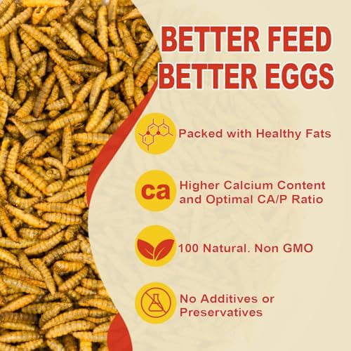 5.5LBS Black Soldier Fly Larvae Superior to Dried Mealworm - BSF Larvae 85x More Calcium Than Meal Worms for Chickens - Black Solider Fly Larvaeis Treats for Laying Hens, Birds, Reptiles
