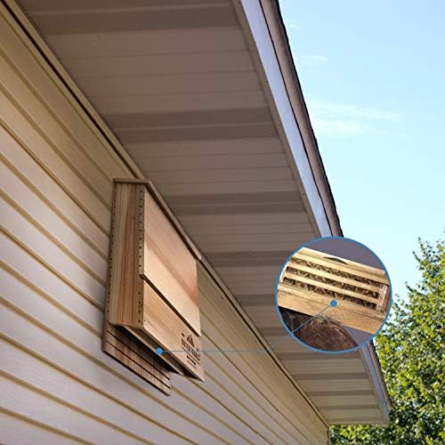 Bat House Outdoor Bat Habitat, Natural Cedar Wood, 2 Chamber