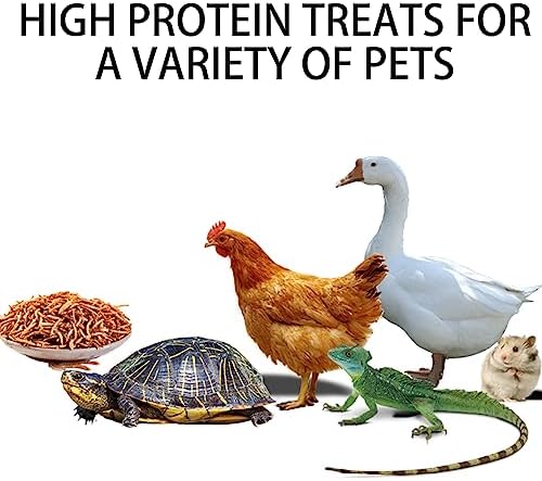 I LOVE WORMS Dried Mealworms (10lb), 100% Natural Non-GMO, High-Protein Mealworms for Chickens, Birds, Ducks, Reptile, Tortoise, Amphibian, Lizard