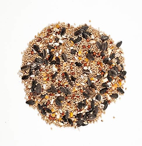 Squirrel Solution200 Squirrel-proof Bird Feeder w/6 Feeding Ports, 3.4-pound Seed Capacity, Free Seed Funnel and Wagner's 62004 Eastern Regional Wild Bird Food, 20-Pound Bag