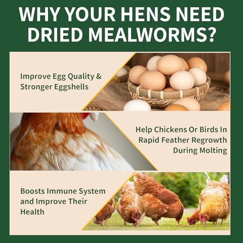 10LB Dried Mealworms, 100% Natural, Non-GMO Meal Worms, Dried for Chickens, Wild Birds, Reptile, Hamster, Hedgehog, Pigeon