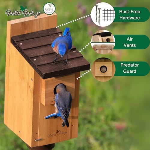 Wild Wings WWCH3 Cedar Blue Bird Box House