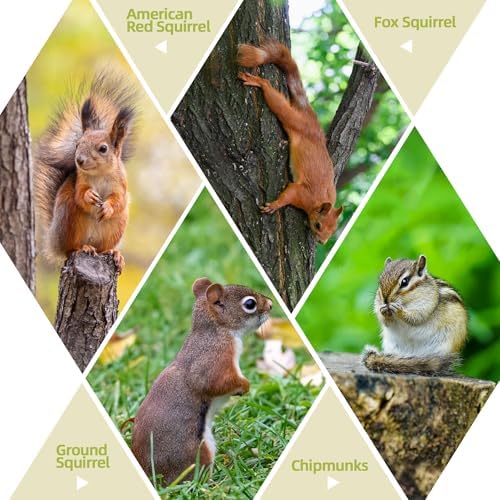 MIXXIDEA Squirrel Feeder Table with Umbrella, Wooden Squirrel Picnic Table Feeder, Sturdy Squirrels Feeder Corn Cob Holder, with Solid Structure and 2 x Thick Benches(1pk)